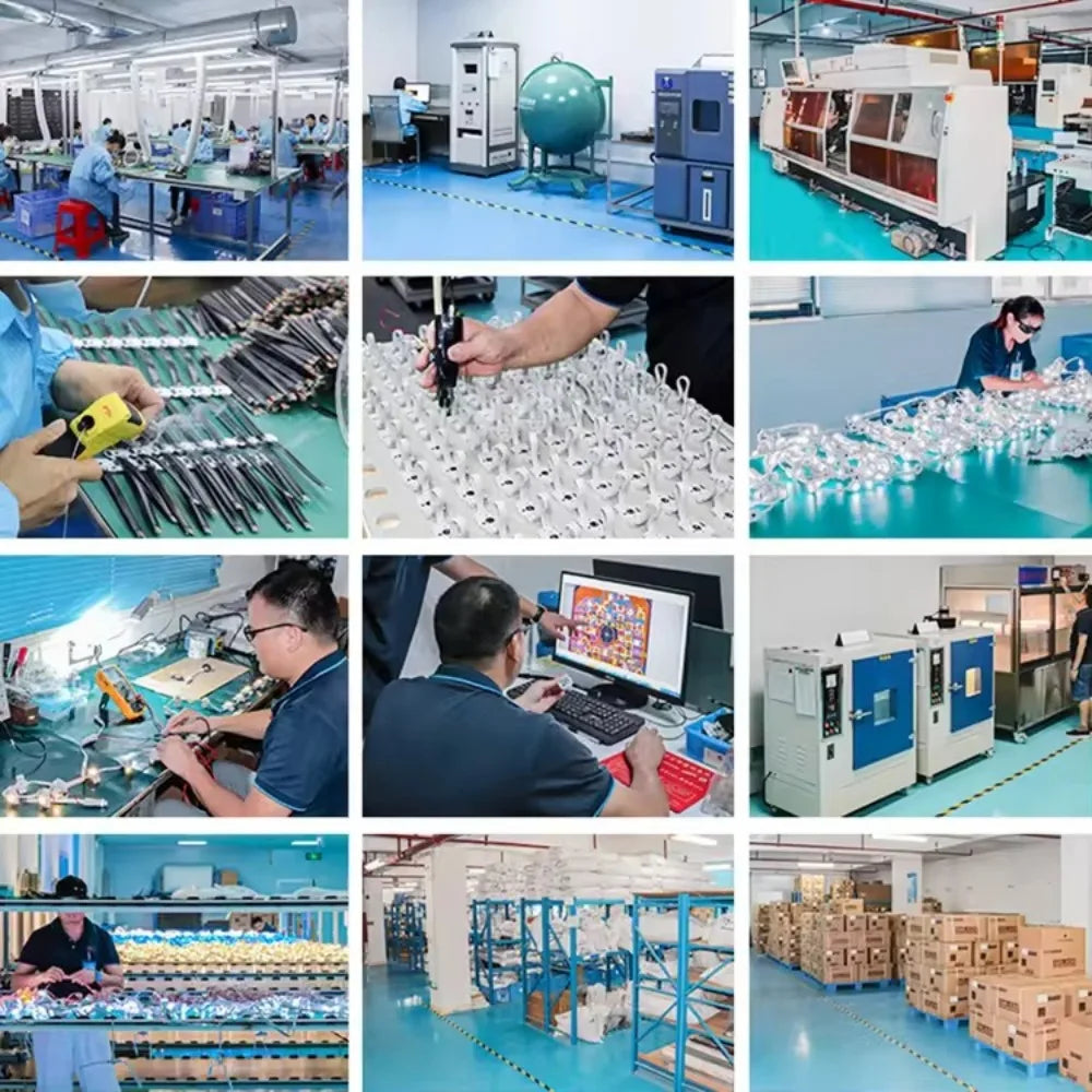 Permanent Outdoor Lights