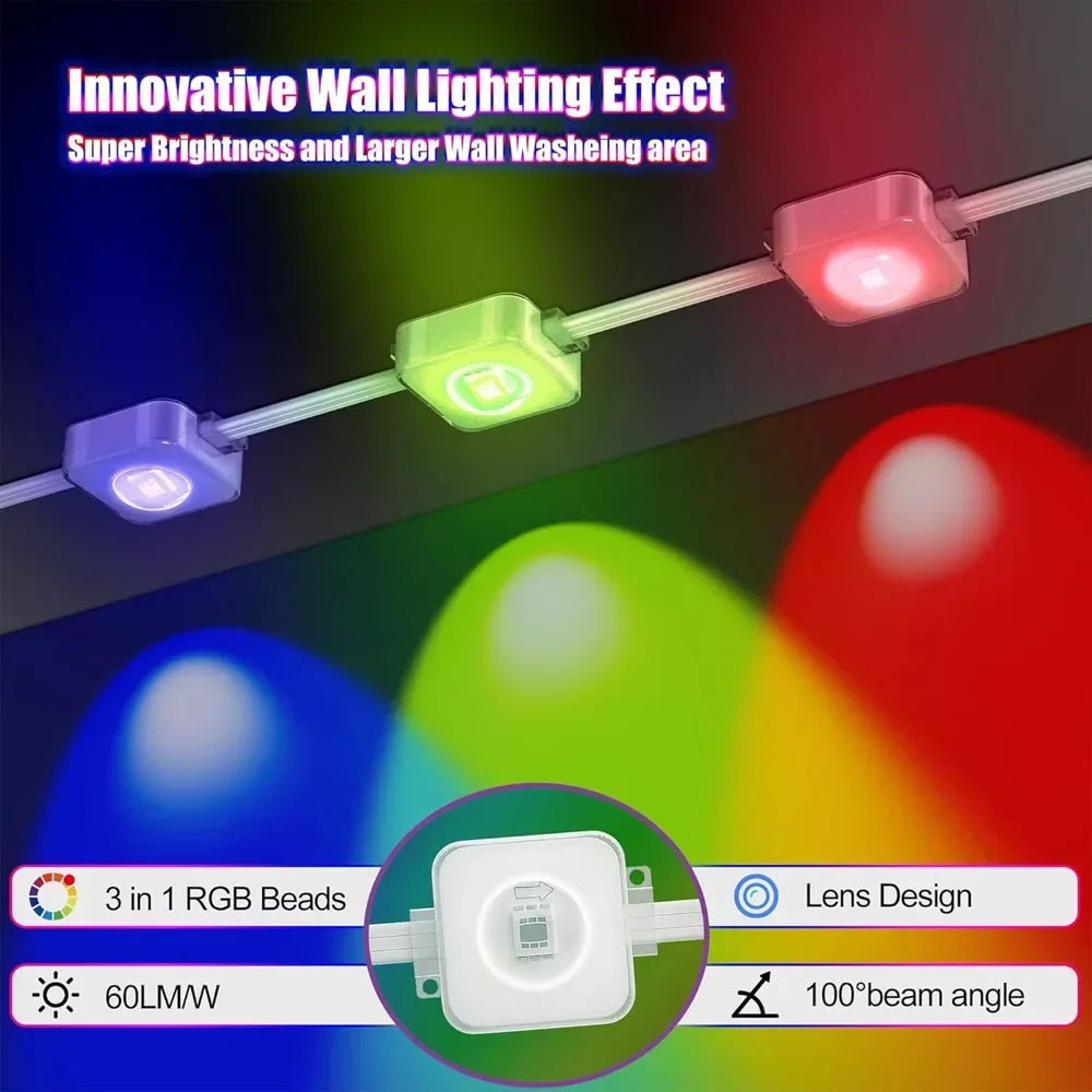 Permanent Outdoor Lights